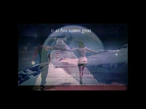 Nepozvani gost - Božana Ćosić