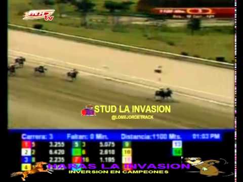 LA RINCONADA 3 CARRERA DOMINGO 15 DE FEBRERO DEL 2015