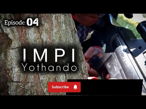 IMPI YOTHANDO _s1_ep04