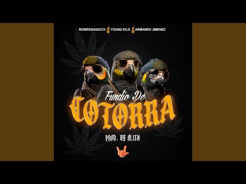 FUNDIO DE COTORRA (feat. Armando Jimenez & Young Kilo)