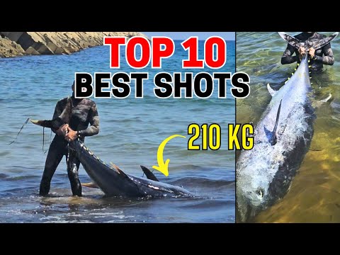 TOP 10 SPEARFISHING SHOTS 2024- PESCASUB