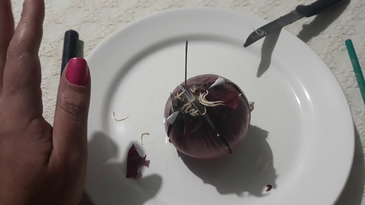 É Briga, Destruição e Separação que vocês querem? Faça essa magia