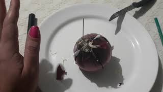 É Briga, Destruição e Separação que vocês querem? Faça essa magia