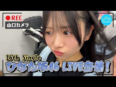【メンバー目線カメラ】山口陽世が16th Single
  ひなた坂46LIVEでカメラ回してみた！