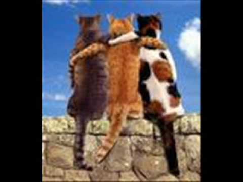 Rebelion G - una cualquiera