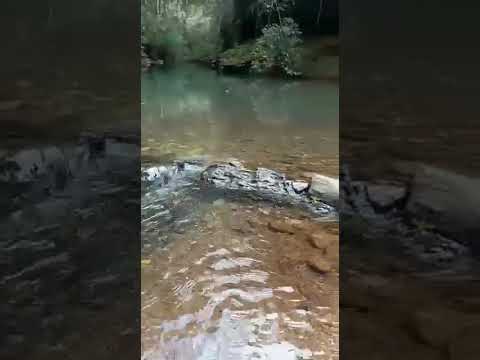 Chácara em CAETE, MG - CHACARA COM AGUA CORRENTE E CACHOEIRA