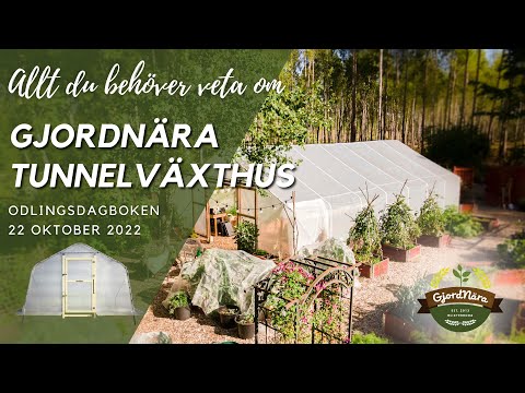 Tunnelväxthus - alla våra tips inför köp!