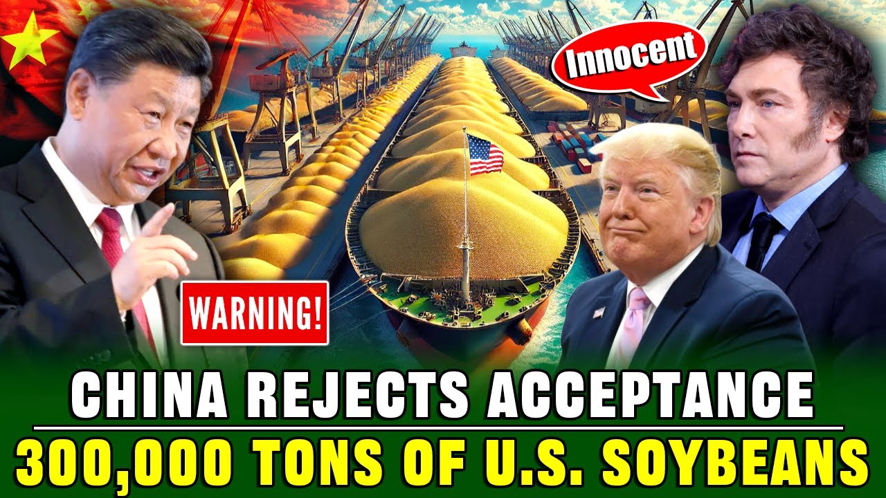 China Rejects 300,000 Tons of Soybeans from Argentina | Because Its Origin is the United States!