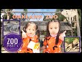 OAKLAND ZOO during the PANDEMIC! Fun tour with Kids | Part 1 #oaklandzoo