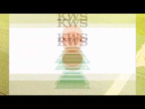 KWS HIGGINS- żniwa 2019: rekordowy plon i grube ziarno