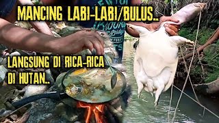 Download lagu MANCING DAN MASAK LABI-LABI/BULUS DI HUTAN KALIMANTAN||MAKANAN EKSTRIME INDONESIA mp3