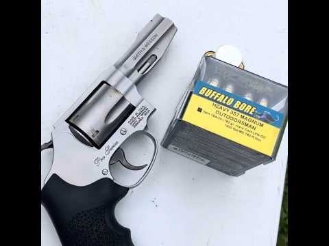 Buffalo Bore 10mm 220 Gn Face Off: Glock, XDM, Sig, Taurus, Hi Point! Who Will Fail??