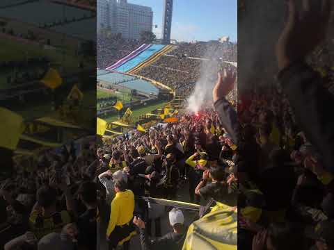 "VENI A BUSCARLOS #peñarol" Barra: Barra Amsterdam &bull; Club: Peñarol