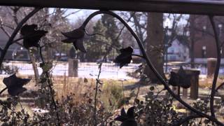 Paradise Fears: It's New Years; What Are You Waiting For?