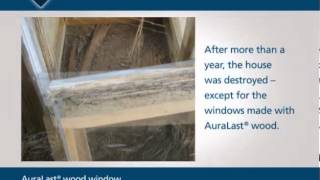 JELD-WEN: AuraLast Wood Overview