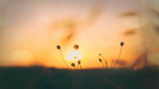 School of Seven Bells - On My Heart