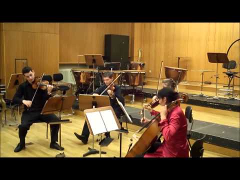 Rheingauer Streichquartett Dancing violinist