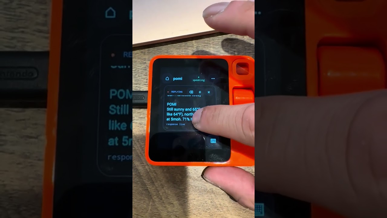Watch Pomi answer a weather question on a Rabbit R1