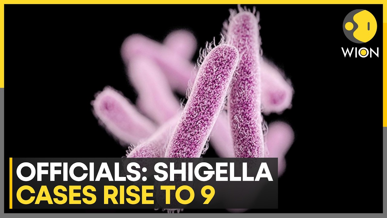 Keralam Shigella Outbreak: What is Shigella Infection; How Does It Occur | WION India News