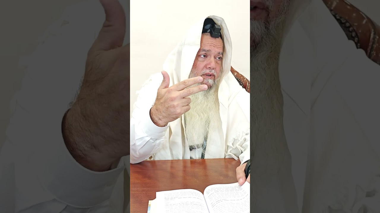 שער הביטחון | סבב שני - פרק 229
