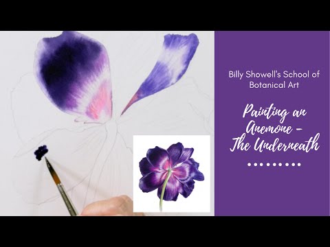 Painting a Large Purple Anemone - The Underneath (Preview) with Billy Showell ⎮Watercolour Beautiful
