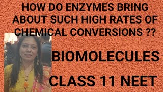 HOW DO ENZYMES BRING ABOUT SUCH HIGH RATES OF CHEMICAL CONVERSIONS???  CLASS 11 NEET