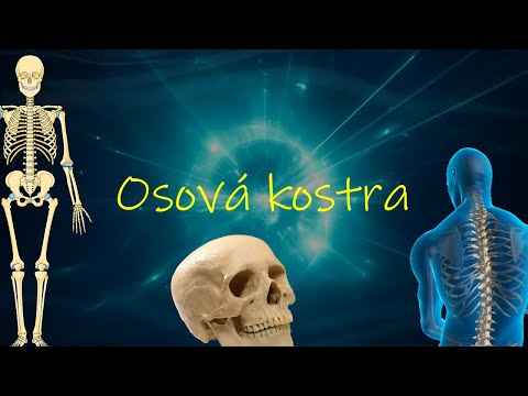 Biológia 7. ročník _ Kostra (osová kostra) (cele video nájdete na HEROHERO)