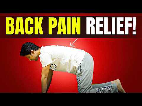 Daily Exercise for BACK PAIN | 15-Min Workout at home | Saurabh Bothra