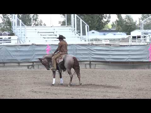 Sun Reys Of Shade DR - Brandon Buttars - URCHA Futurity 2015