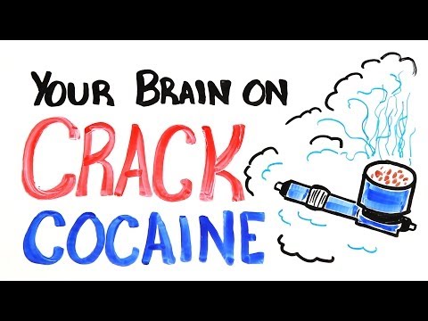 Your Brain on Crack Cocaine