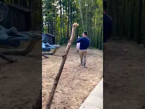 Big Shank caught On camera