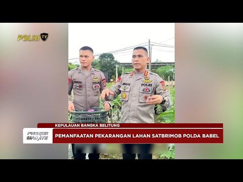 PRESISI UPDATE: SATBRIMOB POLDA BABEL LAKUKAN PANEN &amp; DUKUNG PROGRAM KETAHANAN PANGAN 20/05/25 08.00