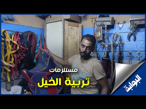 , title : 'مستلزمات الحصان.. إسلام عزوز يكشف أهم النصائح لتربية الخيول'
