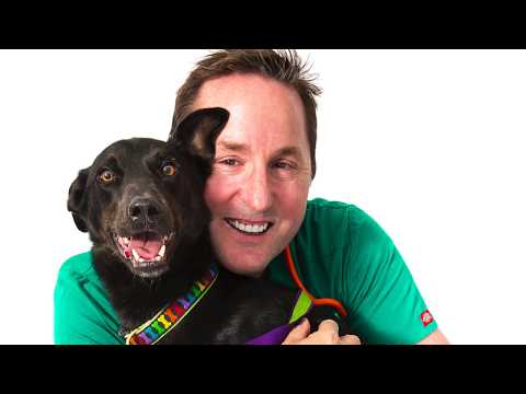 Hampton Park Vets :Stress Free Vet Visits