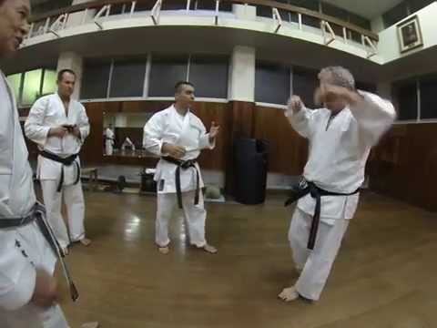 discussions on Kururunfa Kata Bunkai, at the Jundokan Dojo, December 2014