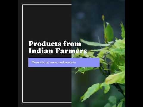 Stevia cultivation services, type of industry business: 1, t...