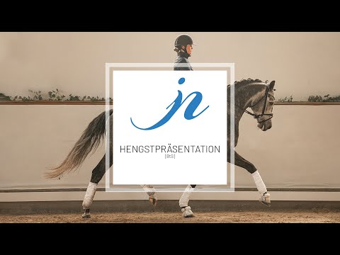 Hengstpräsentation 2023