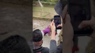 Download lagu Farel Prayoga terjatuh mp3