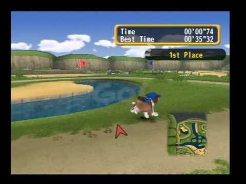 petz dogz 2 playstation 2 walkthrough