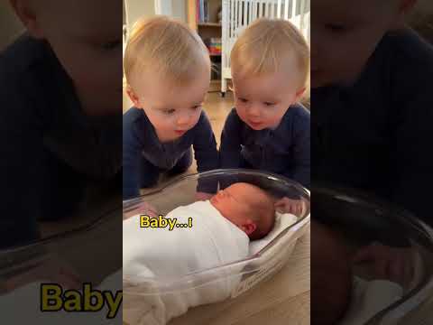 Twin Toddlers Meet Their Newborn Baby Sibling! 🥺👶 #twinmom #twinboys #meetthebaby #babybrother