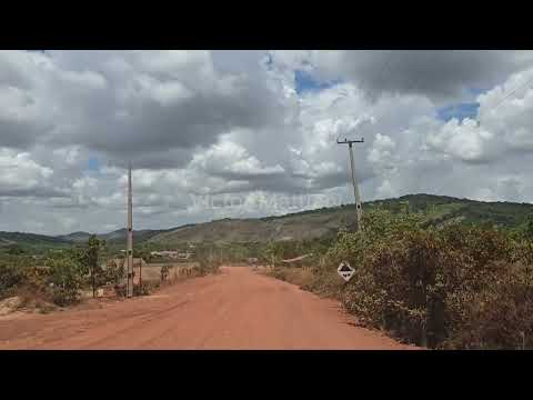 Pelas estradas da Amazônia - Vila de Uiramutã - Roraima - Brasil