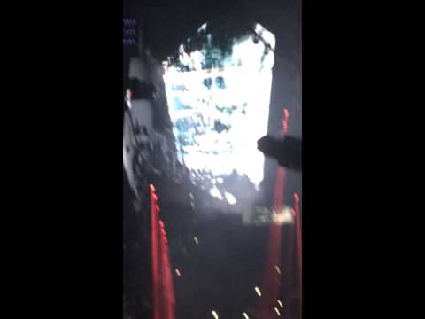 Avicii - True Tour Paris ( Flute-New world Sound )