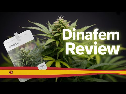 Dinafem Seeds Review 2025 🌱 | Legendary Feminized & Autoflower Genetics Explained