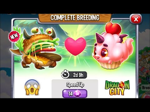 Dragon City: Burger Dragon vs Cupcake Dragon [EXCLUSIVE BREEDING] 😱