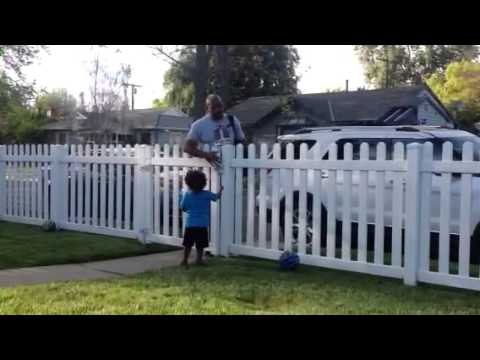 Derby and Jax in "Daddy's Home" - 4.3/2.7 yo