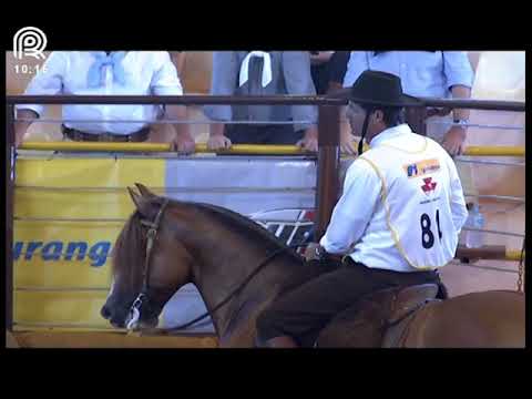 Classificatória Região SC/PR – 2° lugar machos – Capanegra Oguindo (Prova: Mangueira II)