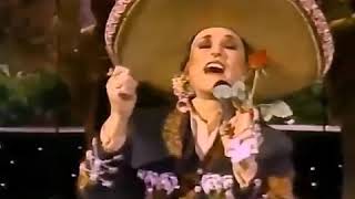 Inocente Pobre Amiga Lyrics English Translation