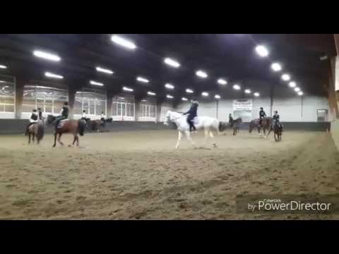 Ponycarrousel De Ruif - Carrouselles 3 maart