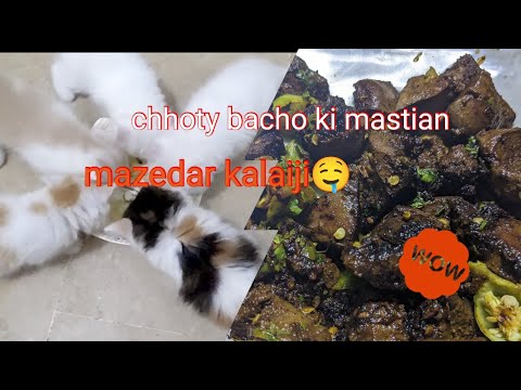 Best homemade cat food🐱| Beaf kalaiji | Nazli vlogs|