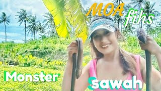 Download lagu strike belut monster tangan sampai gemetaran rara FISHING mp3